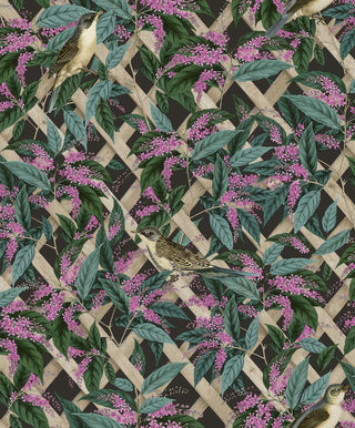 Holden Decor Brassica Charcoal/Pink Wallpaper 90331 – Botanical Leaf Design – 10m Roll