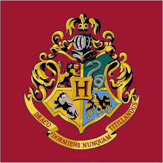 Harry Potter Square Rug - Hogwarts Design - 80 x 80cm