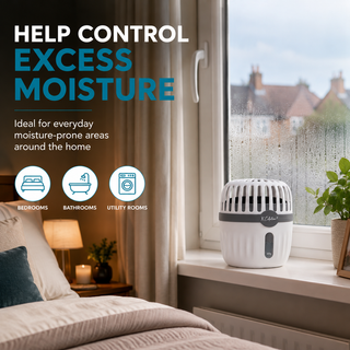 K Collection Refillable Dehumidifier Damp & Condensation Absorber