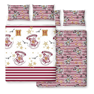 Harry Potter Reversible Duvet Set - Muggles Design - Double