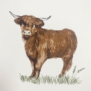 Muriva Angus Highland Cow Wallpaper 165532 – Country Animal Design – 10m Roll
