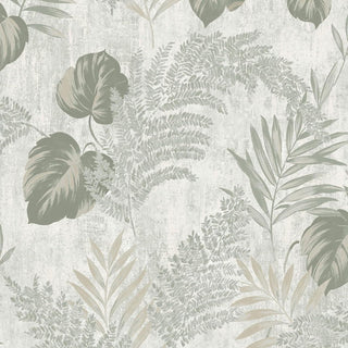 Muriva Phelan Leaf Green Wallpaper 209113 10m Roll Botanical Nature Feature Wall